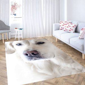 carpet rug